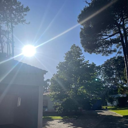 Villa Colares Σίντρα Εξωτερικό φωτογραφία