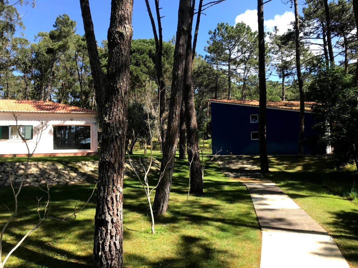 Villa Colares Σίντρα Εξωτερικό φωτογραφία
