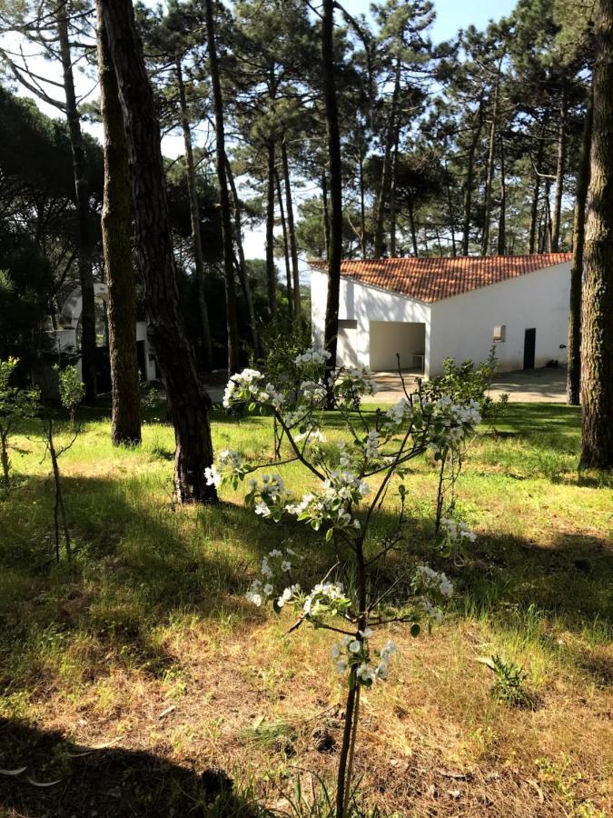 Villa Colares Σίντρα Εξωτερικό φωτογραφία
