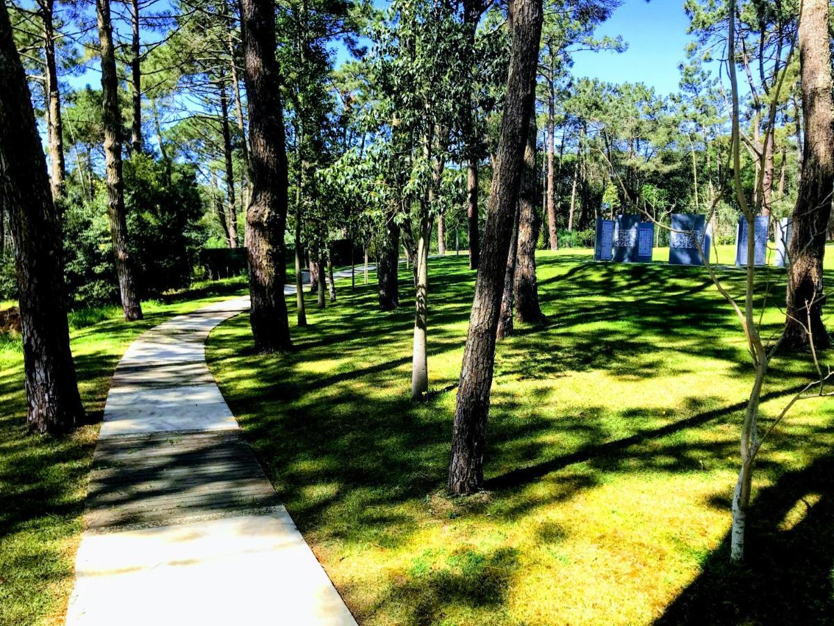 Villa Colares Σίντρα Εξωτερικό φωτογραφία