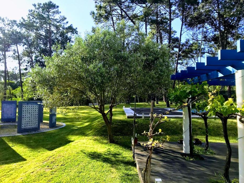 Villa Colares Σίντρα Εξωτερικό φωτογραφία